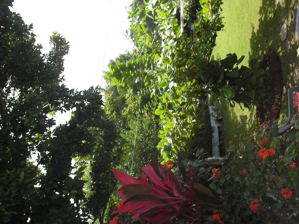 Hotel Posada Koniapan Catemaco Eksteriør billede